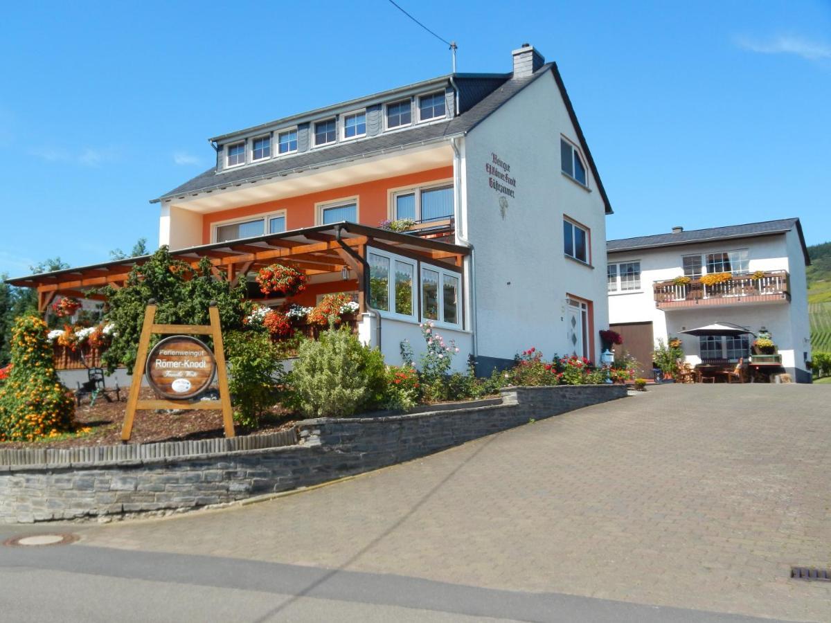 Ferienweinhaus Roemer-Knodt Krov Exterior photo